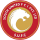 南部联女足logo