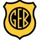GE巴加logo