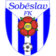 索别斯拉夫logo