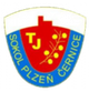 TJS塞尔尼斯logo