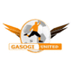 加索基logo