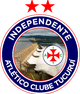 独立PA青年队logo