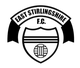 东斯特灵郡logo