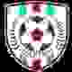 纳西努女足logo