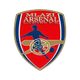 乌姆拉齐阿森纳女足logo