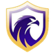 猎鹰SE青年队logo